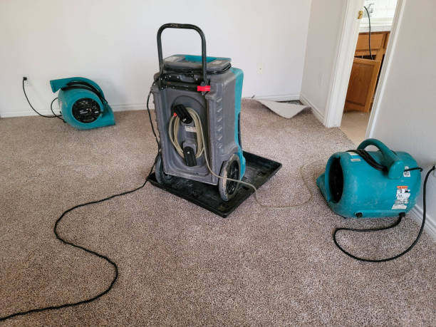 Best Flood damage cleanup  in Huron, SD