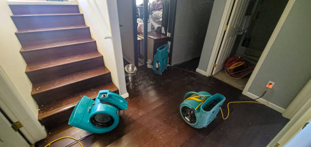 Best Flood restoration services  in Huron, SD